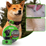 Colgante Puropet™ - 12 Meses de Protección Natural Contra Garrapatas y Pulgas